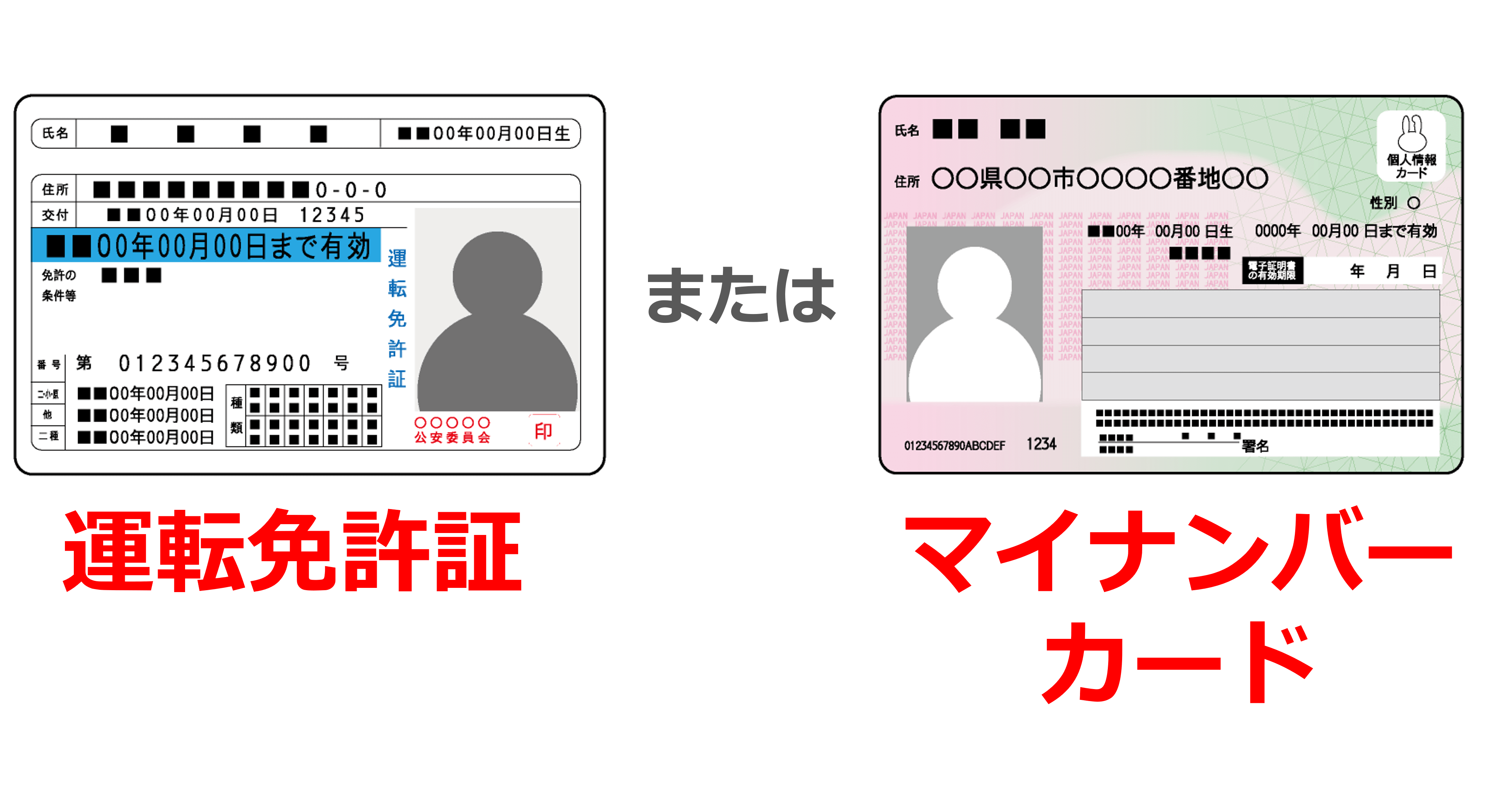 本人確認書類